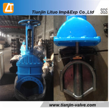 ANSI Standard Rising Stem Resililent Gate Valve